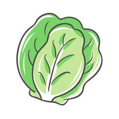 iceberg lettuce icon, iceberg lettuce vector illustration-simple illustration of iceberg lettuce, perfect for iceberg lettuce logos and icons
