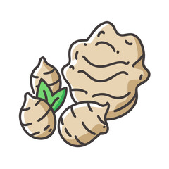 jerusalem artichoke icon, jerusalem artichoke vector illustration-simple illustration of jerusalem artichoke, perfect for jerusalem artichoke logos and icons