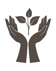 Silhouette composition.  Hands of a man holding a sprout with leaves.