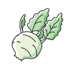 kohlrabi icon, kohlrabi vector illustration-simple illustration of kohlrabi, perfect for kohlrabi logos and icons