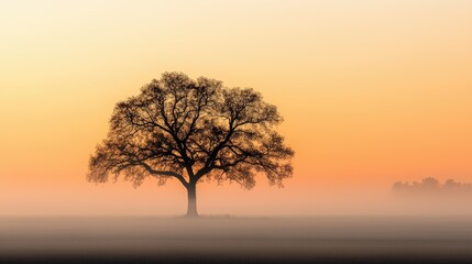 Fototapeta premium A lone tree silhouette against a soft and vibrant sunset sky