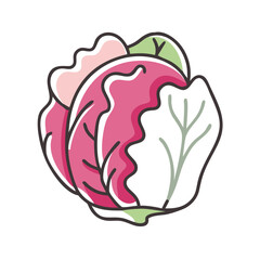radicchio icon, radicchio vector illustration-simple illustration of radicchio, perfect for radicchio logos and icons