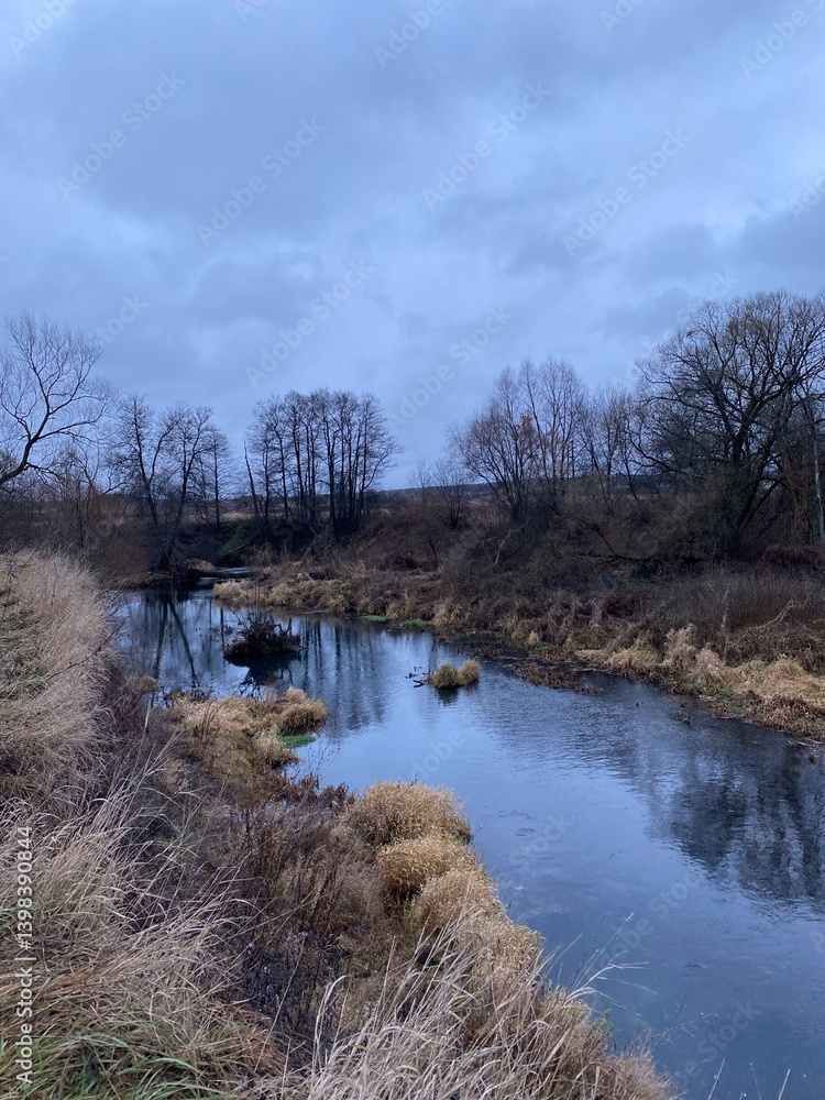 Poster A tranquil river flows gently through a landscape with patches of dry grass and scattered trees under a cloudy sky. The serene atmosphere evokes a sense of calm