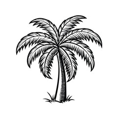 Fototapeta premium Silhouette of beach Palm Trees vector
