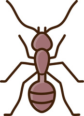 Fototapeta premium Ant
