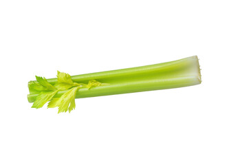 Fototapeta premium A green celery stick floating horizontally in mid-air against a solid white background