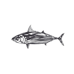 vector illustration of the silhouette of a skipjack tuna without background