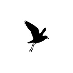 Fototapeta premium Plover bird flying silhouette icon vector flat design.
