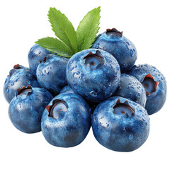 Obraz premium Harvesting fresh blueberries farm food photography outdoor close-up