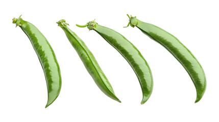 Pack of Yardlong Bean Set Against Transparent Background for Food Branding, Vegetable Promotion, or Healthy Eating Design Projects
