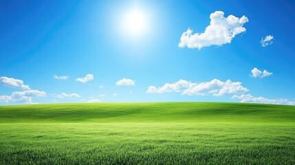 Obraz premium Sunny Day Over Rolling Green Field And Blue Sky