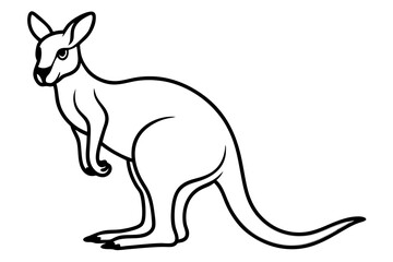 Minimalist Kangaroo Line Art Vector on White Background
