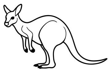 Minimalist Kangaroo Line Art Vector on White Background