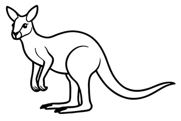 Minimalist Kangaroo Line Art Vector on White Background
