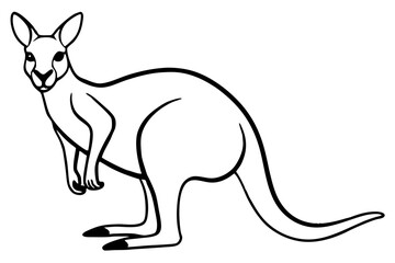Minimalist Kangaroo Line Art Vector on White Background