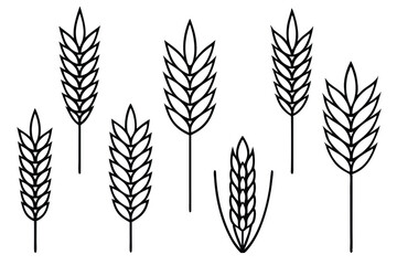 Oat Ear and Grain The Art of Sustainable Farming