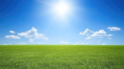 Obraz premium Sunny Day Over Lush Green Grassy Field
