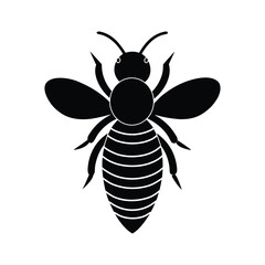 a realistic honeybee with textured stripes.eps