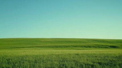 Obraz premium Serene Green Field Under a Vast Blue Sky