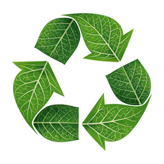 Recycle Symbol with Leaves in Vector Sustainable Lifestyle Icon. Earth day symbol. Recycling infographic