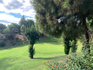 Green golf course with Mediterranean trees in Andalusia, Spain. Tranquil nature under soft light