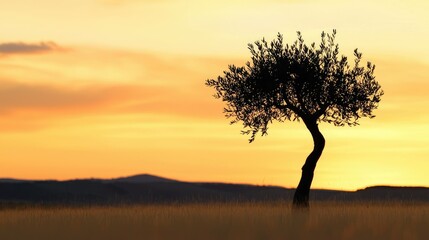 Obraz premium A solitary tree silhouetted against the sunset sky and distant hills
