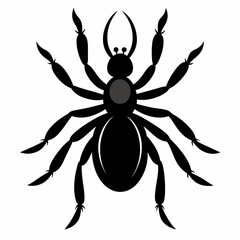 Obraz premium Black Silhouette of a Spider with Hourglass Marking