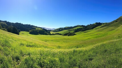 Lush green valley nestled between rolling hills under a clear blue sky