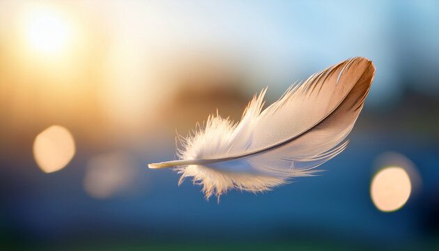 Una pluma de ave ligera delicada y blanca flotando en el aire en un fondo desenfocado simbolo de ligereza, pureza, esperanza, espiritualidad, calma, paz interior inspiraci&oacute;n libertad y bienestar