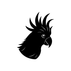 Fototapeta premium eagle head vector