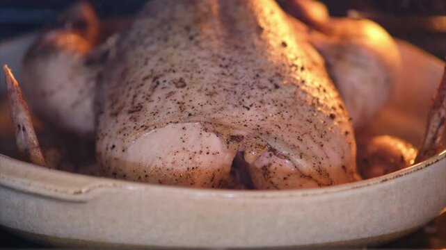 Whole roasted chicken with seasoning in a ceramic baking dish inside an oven. Close-up food time lapse of homemade poultry meal preparation