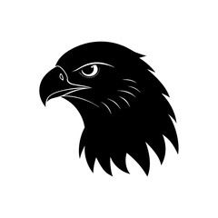 Fototapeta premium eagle head vector illustration