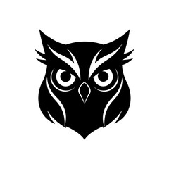 owl on white background
