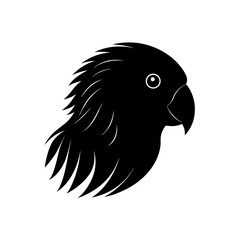 Fototapeta premium vector illustration of an eagle