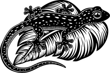 Fototapeta premium Discover a captivating collection of vector illustrations featuring reptiles and amphibians in stunning detail. The 