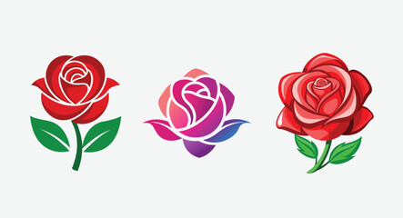 Fresh beautiful rose isolated on white background with clipping path