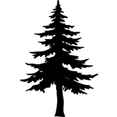 Fototapeta premium Silhouette of Evergreen Pine Tree Vector for Tattoo and Nature Design