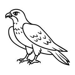 Fototapeta premium Majestic Hawk Line Art Illustration for Tattoo and Coloring Book Designs