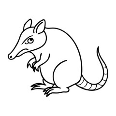Fototapeta premium Cute Armadillo Line Art Vector Illustration for Coloring Books and Educational Use