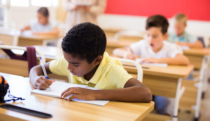 Portrait of diligent schoolboy sitting in class writing exercises