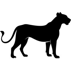 Obraz premium Black Silhouette of Standing Lioness for Tattoo and Design Projects
