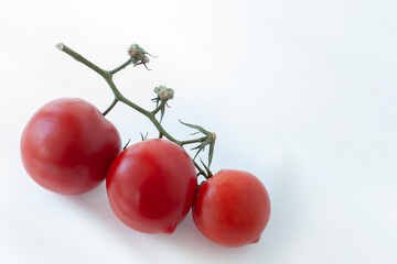 Red tomatoes on an isolated background