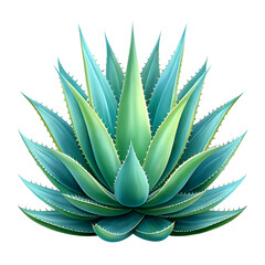 Fototapeta premium Agave plant illustration, vibrant teal and green.