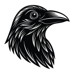 eagle head vector illustration.