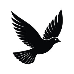 bird flight vector art silhouette