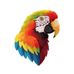 Fototapeta premium Vibrant Scarlet Macaw Parrot Head Illustration