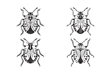 Obraz premium Insect Beetle Vector Set Black and White Bug Illustration Collection