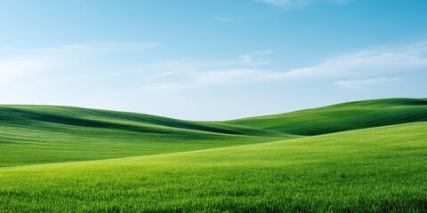 Expansive green field stretching under a clear blue sky with bright sunshine creating a peaceful rural landscape