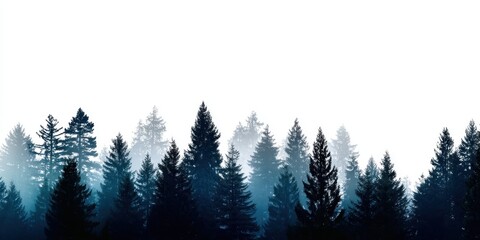 Silhouette of a pine forest with tall trees in the background against a bright white background evoking calmness
