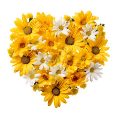 bouquet of yellow flowers white and yellow flowers on white background 